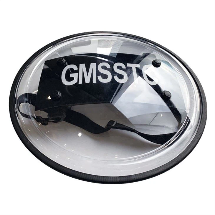 Riot Gear Shield